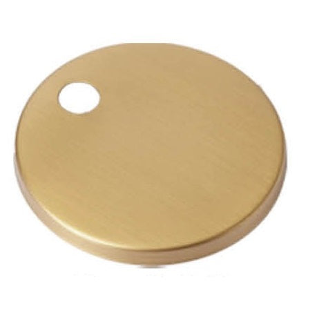 Hinge Cover Brushed Gold Poseidon - ACS Bathrooms