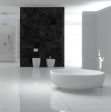 CARMEL Matt Moda - ACS Bathrooms