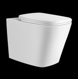 Inwall Toilet Package NA Geberit - ACS Bathrooms