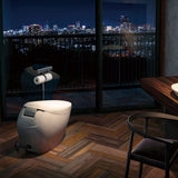 TOTO Neorest NX Nickel Gloss Toto - ACS Bathrooms