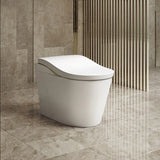 TOTO NEOREST LS, Brushed Nickel, S-trap (295-315mm) Gloss Toto - ACS Bathrooms